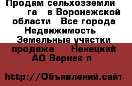 Продам сельхозземли ( 6 000 га ) в Воронежской области - Все города Недвижимость » Земельные участки продажа   . Ненецкий АО,Варнек п.